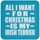 All I Want For Christmas Is My Irish Terrier - Coaster