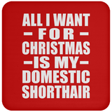 All I Want For Christmas Is My Domestic Shorthair - Coaster
