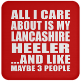 All I Care About Is My Lancashire Heeler - Drink Coaster