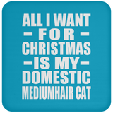 All I Want For Christmas Is My Domestic Mediumhair Cat - Coaster