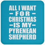 All I Want For Christmas Is My Pyrenean Shepherd - Coaster