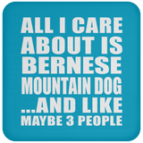 All I Care About Is Bernese Mountain Dog - Drink Coaster