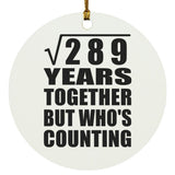 17th Anniversary Square Root of 289 Years Who's Counting - Circle Ornament