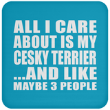 All I Care About Is My Cesky Terrier - Drink Coaster