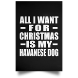 All I Want For Christmas Is My Havanese Dog - Poster Portrait