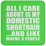 All I Care About Is My Domestic Shorthair - Drink Coaster