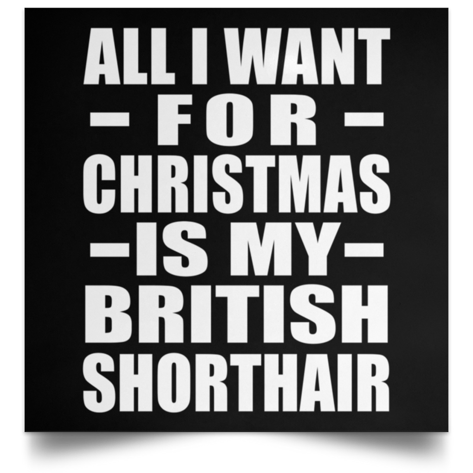 All I Want For Christmas Is My British Shorthair - Poster Square
