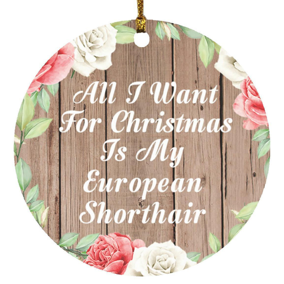 All I Want For Christmas Is My European Shorthair - Circle Ornament B
