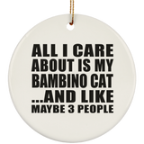 All I Care About Is My Bambino Cat - Circle Ornament