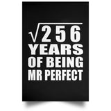 16th Anniversary Square Root of 256 Years of Mr Perfect - Poster Portrait