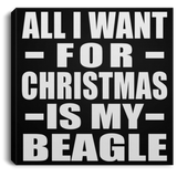 All I Want For Christmas Is My Beagle - Canvas Square