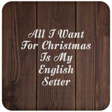 All I Want For Christmas Is My English Setter - Drink Coaster D
