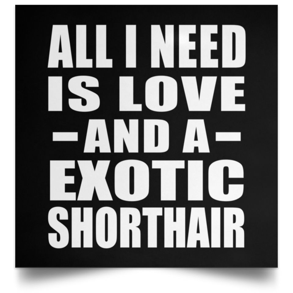 All I Need Is Love And A Exotic Shorthair - Poster Square