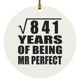 29th Anniversary Square Root of 841 Years of Mr Perfect - Circle Ornament