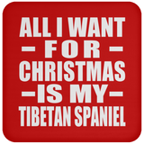 All I Want For Christmas Is My Tibetan Spaniel - Coaster