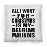 All I Want For Christmas Is My Belgian Malinois - Throw Pillow