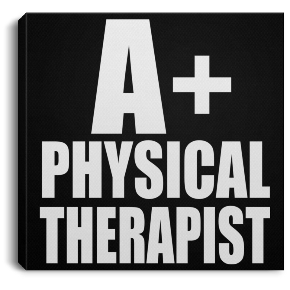 A+ Physical Therapist - Canvas Square