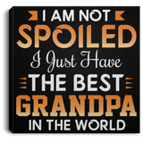 I Am Not Spoiled I Just Have The Best Grandpa In The World - Canvas Square