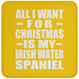 All I Want For Christmas Is My Irish Water Spaniel - Coaster