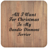 All I Want For Christmas Is My Dandie Dinmont Terrier - Drink Coaster C