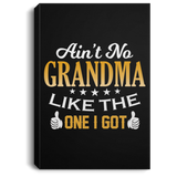 Ain't No Grandma Like The One I Got - Canvas Portrait