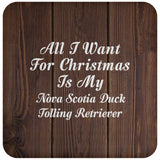 All I Want For Christmas Is My Nova Scotia Duck Tolling Retriever - Drink Coaster D