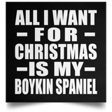 All I Want For Christmas Is My Boykin Spaniel - Poster Square