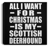 All I Want For Christmas Is My Scottish Deerhound - Canvas Square