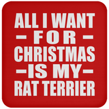 All I Want For Christmas Is My Rat Terrier - Coaster