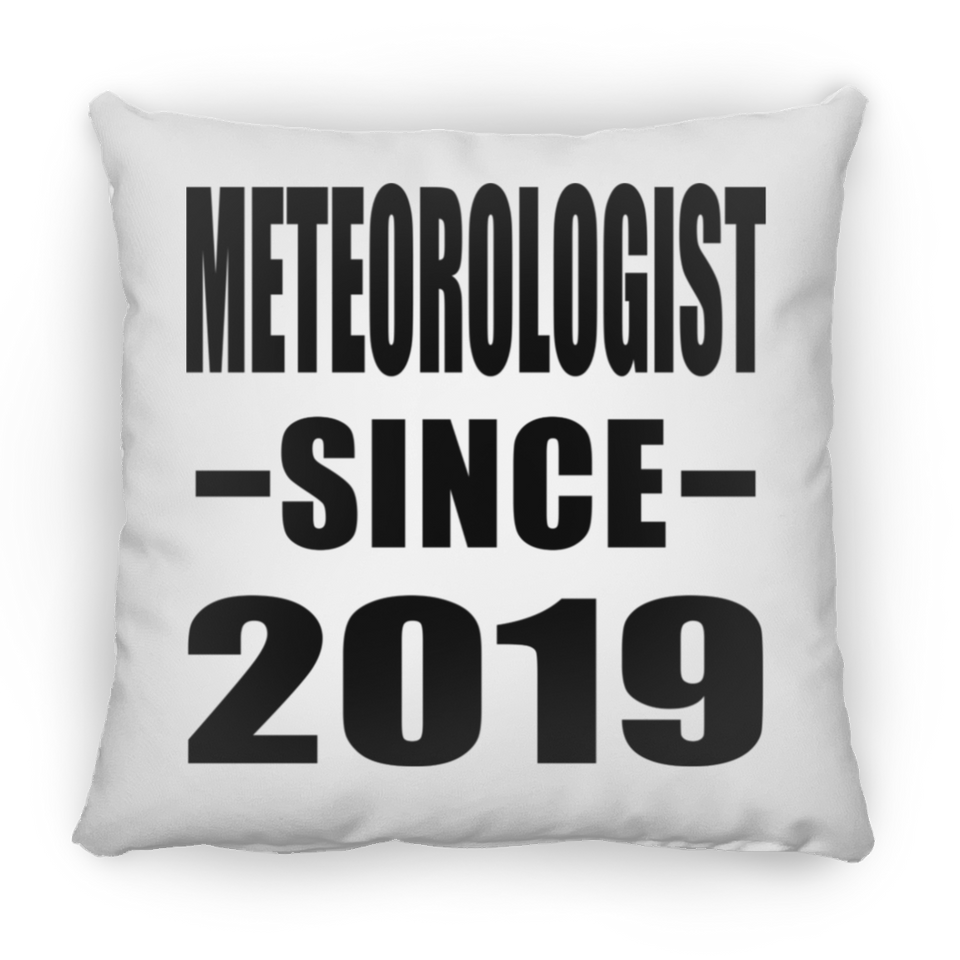 Meteorologist Since 2019 - Throw Pillow