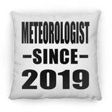 Meteorologist Since 2019 - Throw Pillow