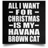 All I Want For Christmas Is My Havana Brown Cat - Poster Square
