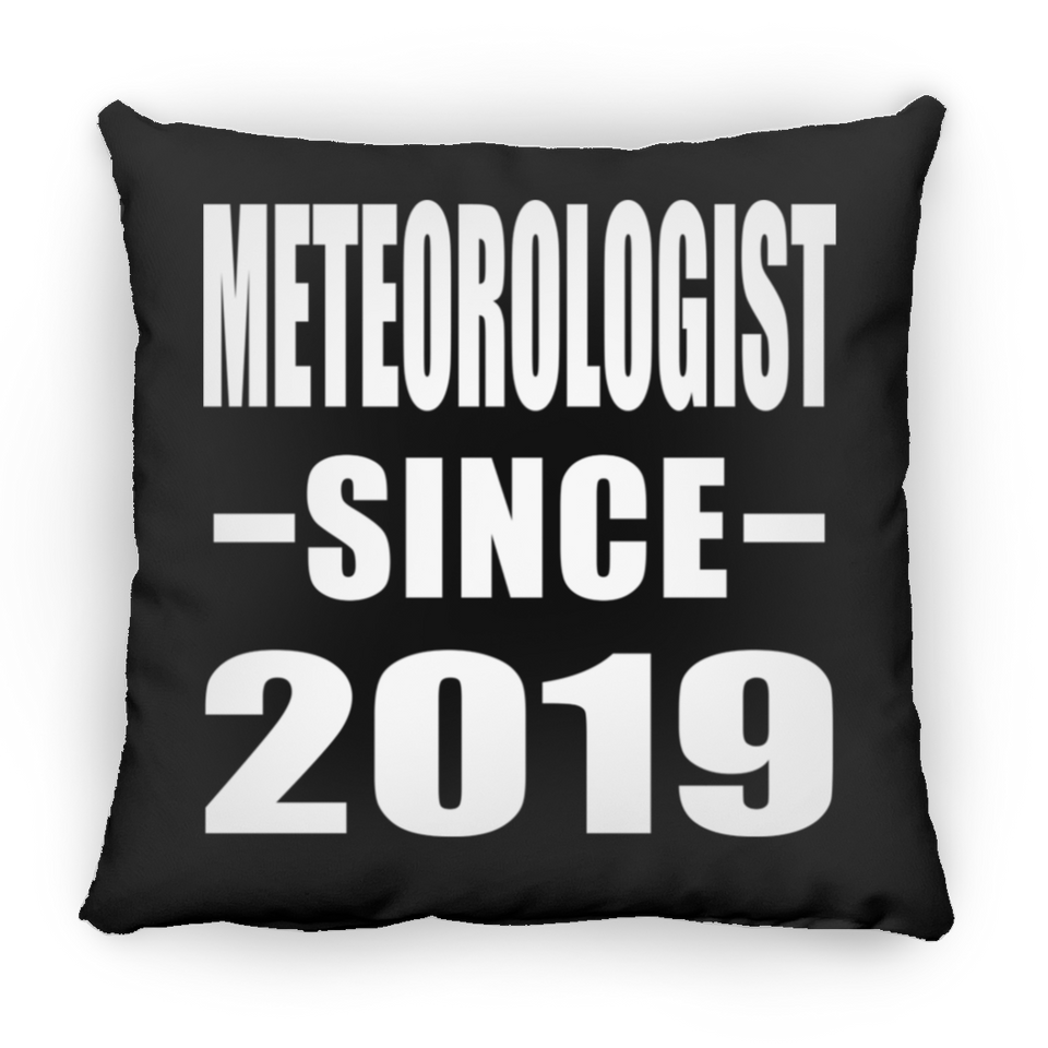 Meteorologist Since 2019 - Throw Pillow Black