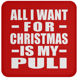 All I Want For Christmas Is My Puli - Coaster