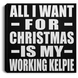 All I Want For Christmas Is My Working Kelpie - Canvas Square