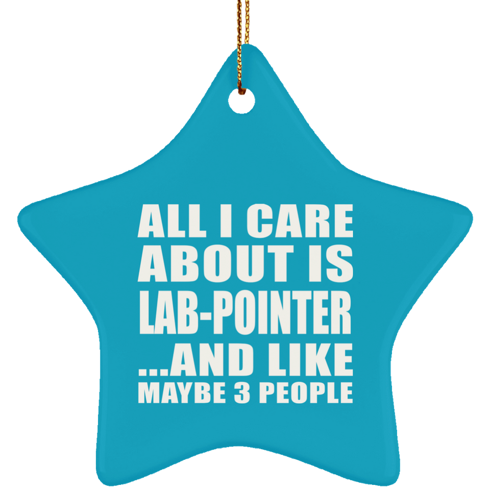 All I Care About Is Lab-Pointer - Star Ornament