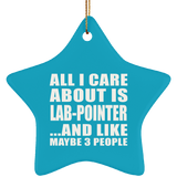 All I Care About Is Lab-Pointer - Star Ornament
