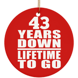 43rd Anniversary 43 Years Down Lifetime To Go - Circle Ornament