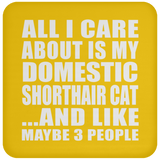 All I Care About Is My Domestic Shorthair Cat - Drink Coaster