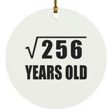 16th Birthday Square Root of 256 Years Old - Circle Ornament