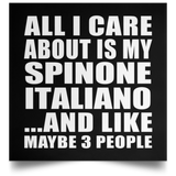 All I Care About Is My Spinone Italiano - Poster Square
