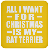 All I Want For Christmas Is My Rat Terrier - Coaster