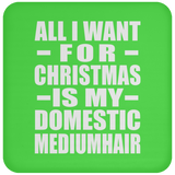 All I Want For Christmas Is My Domestic Mediumhair - Coaster