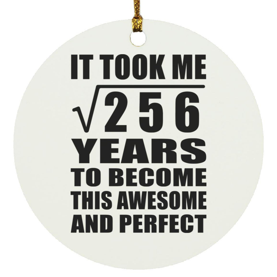16th Birthday Took Square Root of 256 Years To Awesome - Circle Ornament