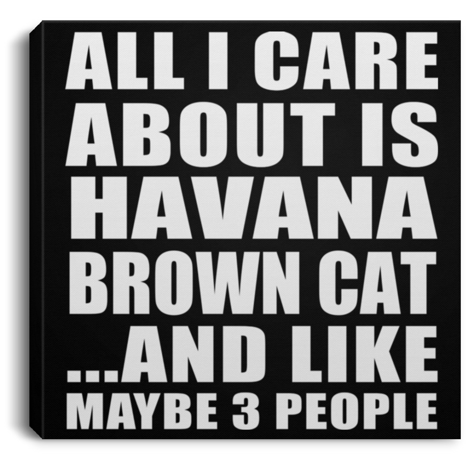 All I Care About Is Havana Brown Cat - Canvas Square