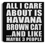All I Care About Is Havana Brown Cat - Canvas Square