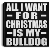 All I Want For Christmas Is My Bulldog - Canvas Square