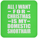 All I Want For Christmas Is My Domestic Shorthair - Coaster