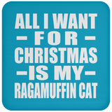 All I Want For Christmas Is My Ragamuffin Cat - Coaster