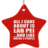 All I Care About Is Lab Pei - Star Ornament